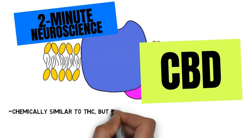 2-Minute Neuroscience: CBD